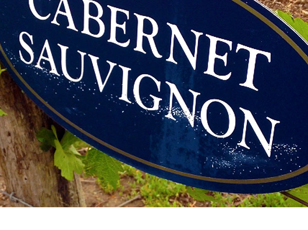 Dreaming of a once in a lifetime trip to
France's wine regions? Here are tips on how to best plan your adventure.
