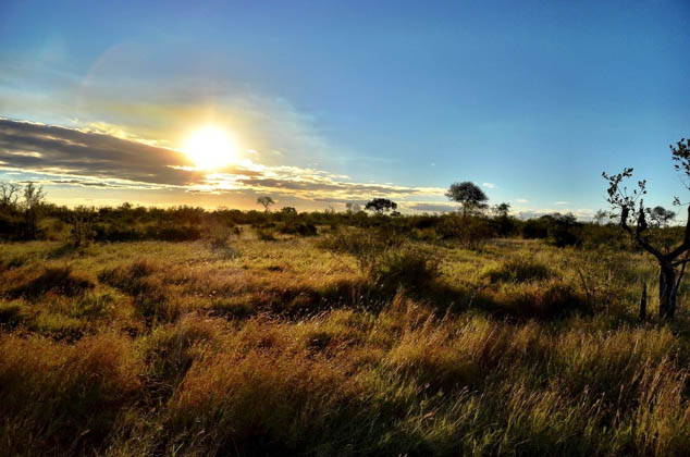 A photo series highlighting what a safari in South Africa is really like.