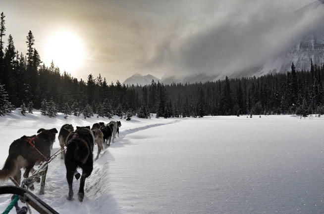 A dog sled is a sled pulled by one or more sled dogs used to travel over ice and through snow. CT