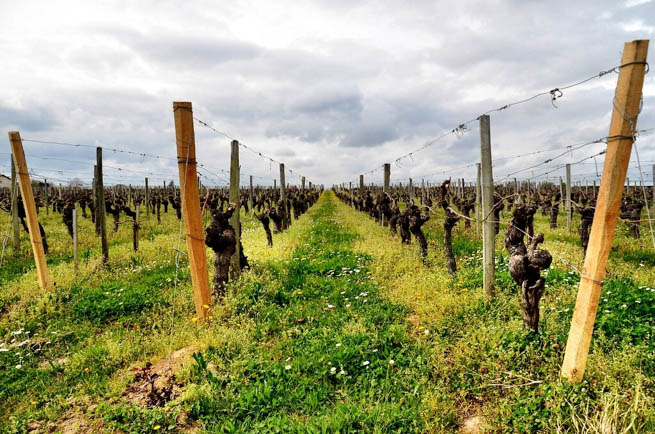 Bordeaux is a port city on the Garonne River in the Gironde department in southwestern France.