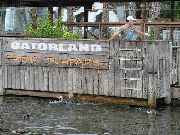 Orlando is a fun trip for the whole family. Use this guide to plan your non-mouse related activities in Orlando, Florida.
