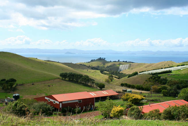 Waiheke Island is in the Hauraki Gulf of New Zealand