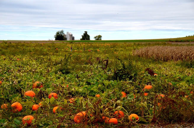 Pack your bags as we explain why autumn is the best time of the year to take a trip.