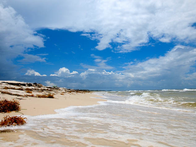 Plan the perfect vacation to Florida away from the stress and hassle of the mega-amusement parks.