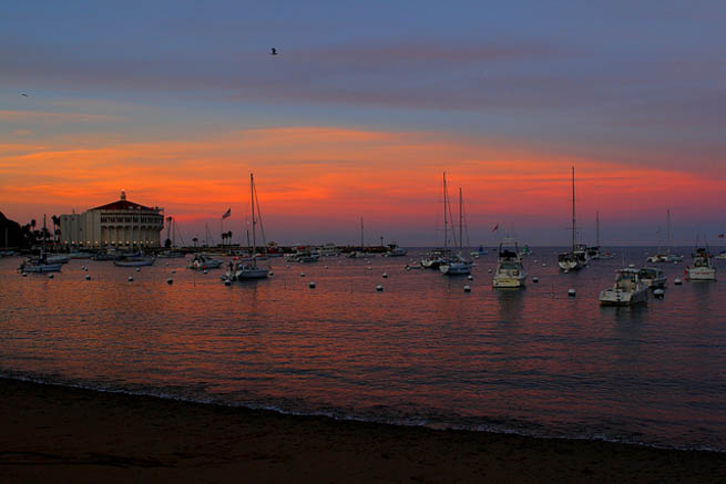 Catalina is a rocky island off the coast of the U.S. state of California 