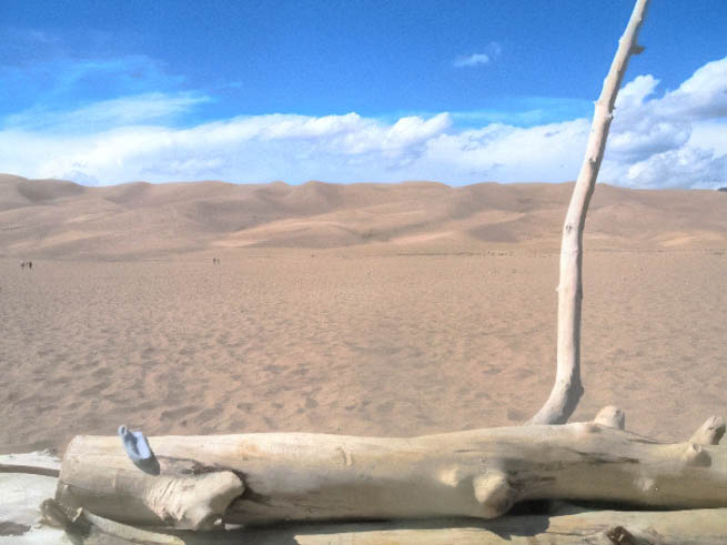 Dunes occur in different shapes and sizes, formed by interaction with the flow of air or water CT