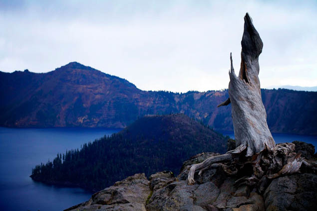 Plan a fun day trip for the whole family to one of America's great natural treasures. 