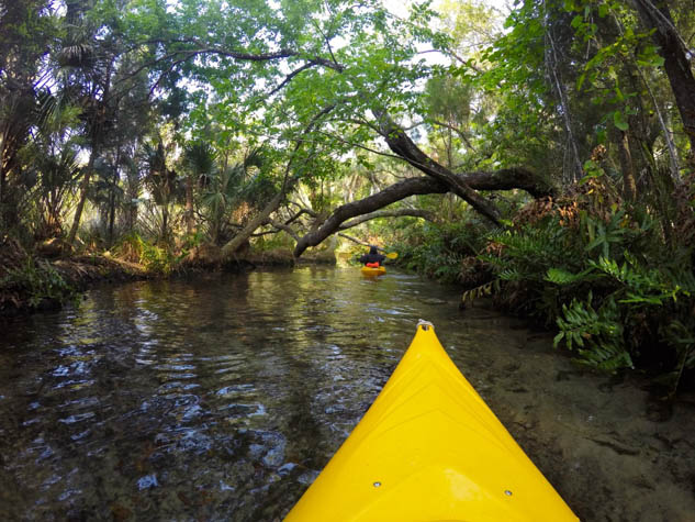 Consider a trip to this beautiful area of always stunning Florida.