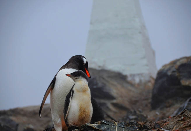 Antarctica is Earth's southernmost continent CT