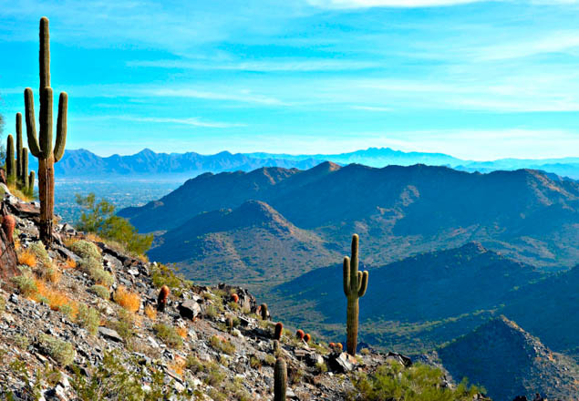Add some variety to your next LA visit with these great daytrip ideas.