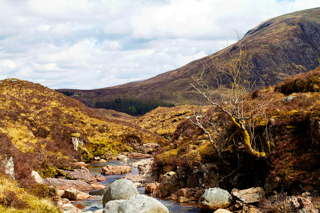 Strap on your hiking boots and take your young ones out for a hiking adventure they'll never forget! 