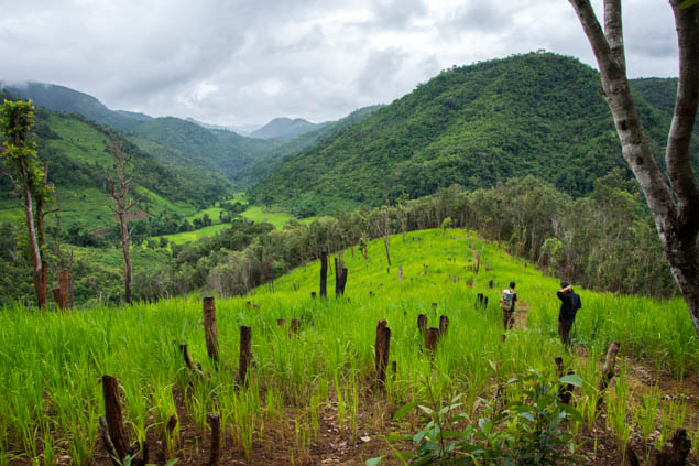 Have fun on your next hike but use these best practices to also stay safe.