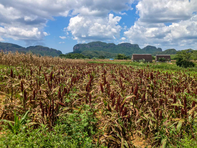 Leave Havana and explore the real Cuba with these not to miss sights.