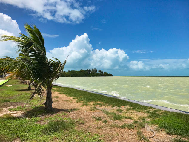 Explore this sometimes overlooked part of Mexico's Yucatan. 