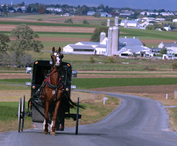 Take the whole family to Lancaster for a getaway you'll never forget.