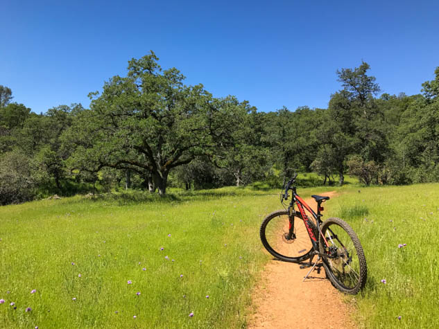 Take an active but fun trip on your next vacation by using your own power on a bike tour!