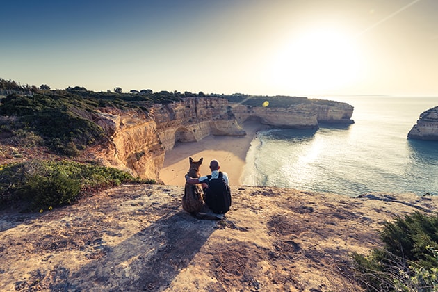 There are a few things to consider when deciding if you should bring your pet on vacation, one of them is whether you need pet travel insurance. 