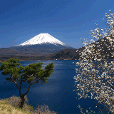 Japan is a country where modern, frenzied cities like Tokyo are complimented by remote and rustic villages that feel almost frozen in time.