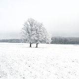 Latvia once ruled by German, Sweden, Russia and Poland shows no shortage of history and culture.