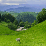 From mountains to fairy-tale like towns to painted churches to the mouth of the Danube, there's plenty to see and do for a traveler in Romania.